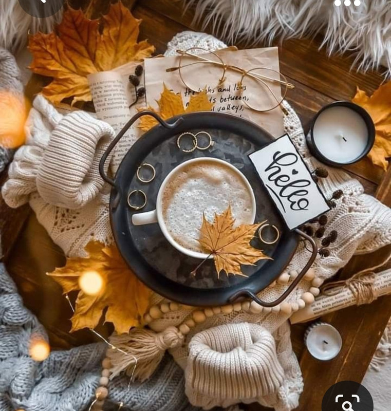 Screenshot_20231008_220902_Pinterest