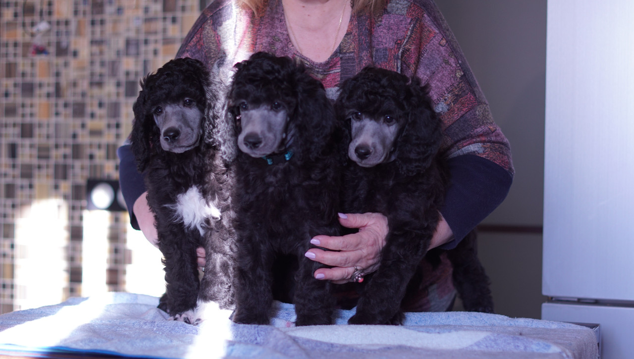 2B9F7099-573A-438B-82C4-9EE10975725E