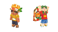 IMG