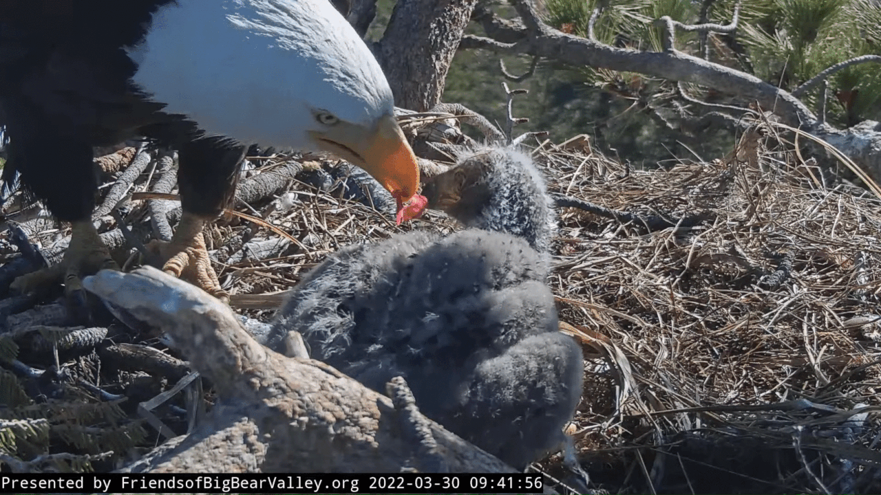 Webp.net-gifmaker (4)