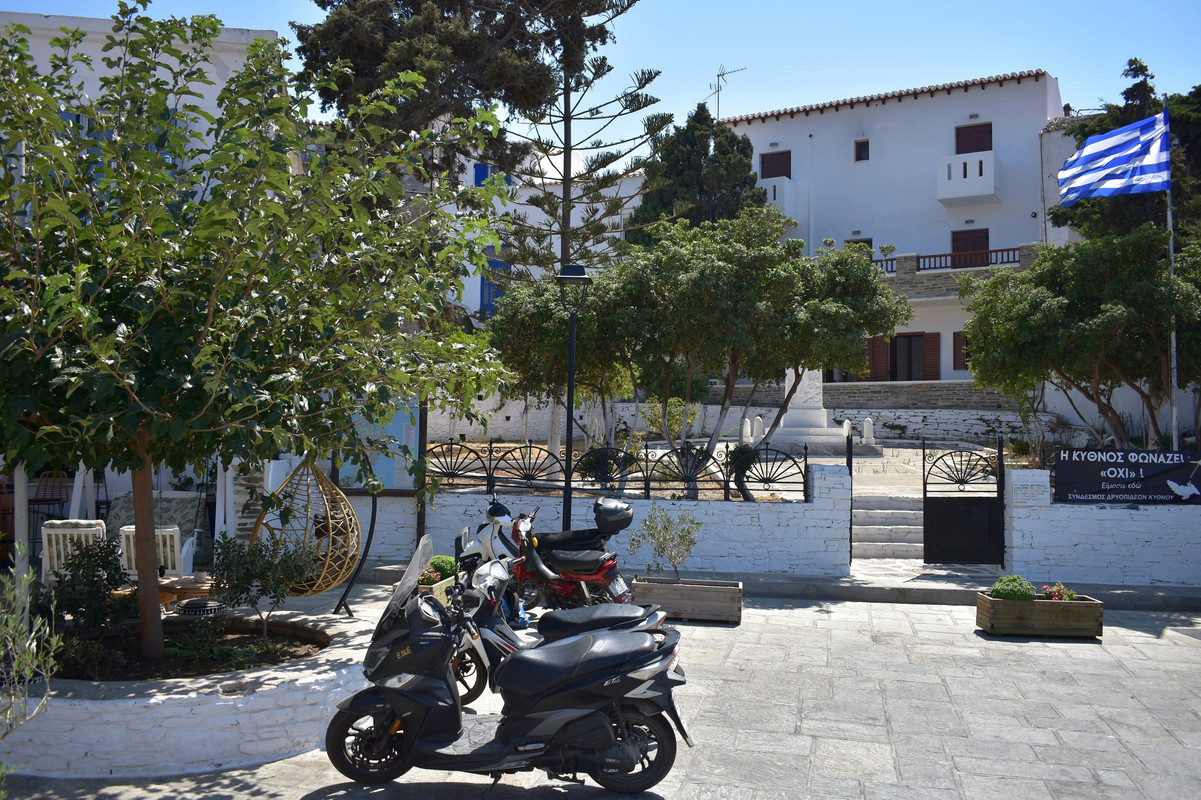 Δρυοπίδα (14)