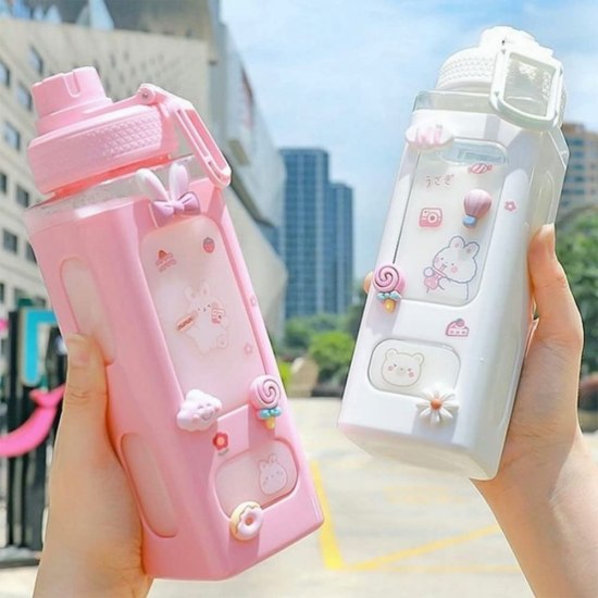 700ml Kawaii Water Bottle with Straw and Sticker