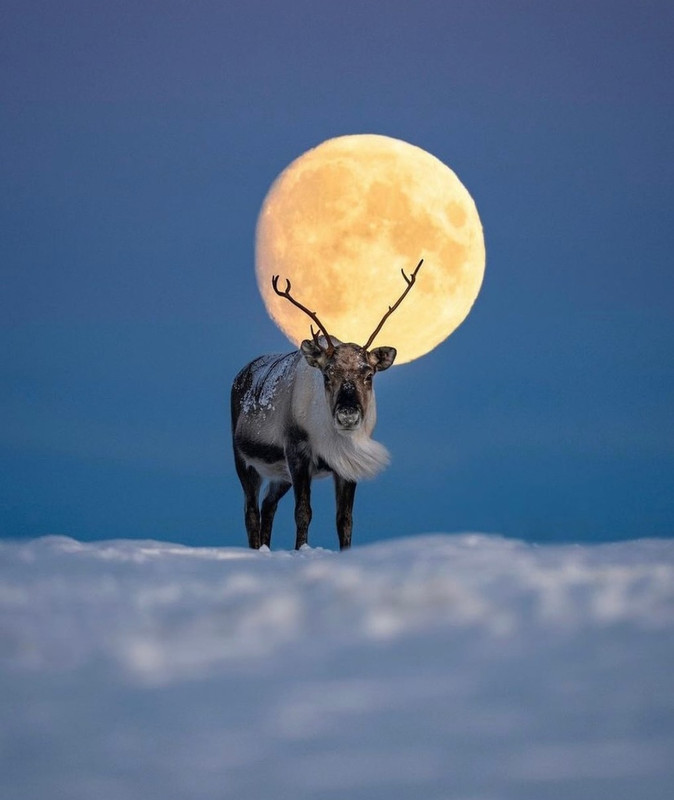 Screenshot_20231108_211828_Instagram