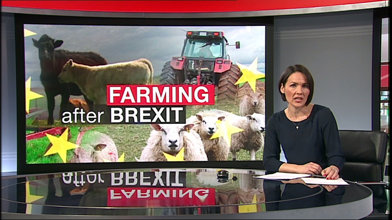 Behnaz_20180205_13301345.mp4_snapshot_00.55_[2018.02.05_17.14.22