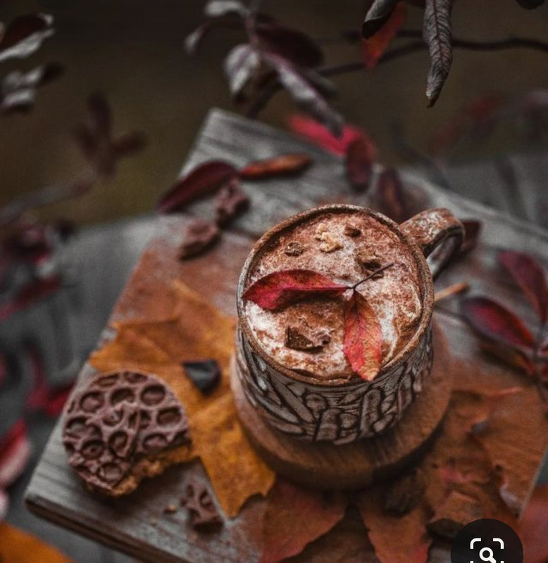 Screenshot_20231008_224101_Pinterest