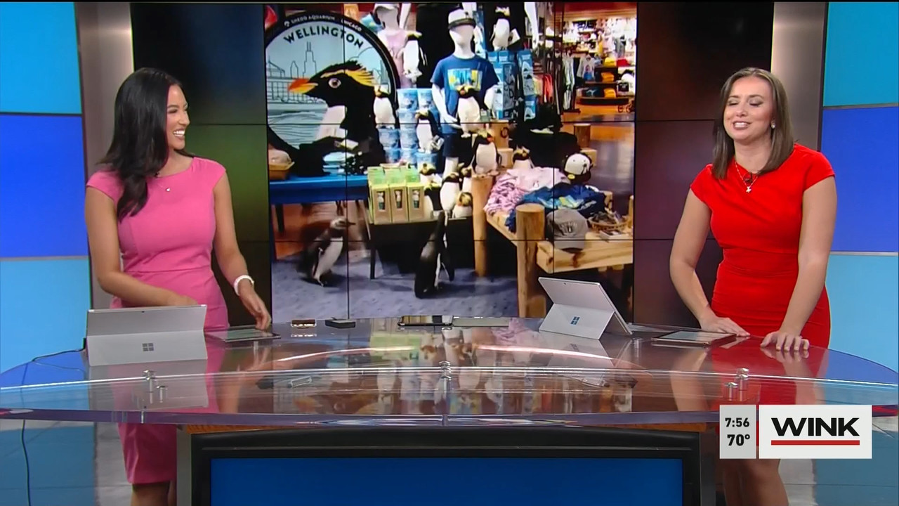 02.14 - 11.00.00 - WINK News @ 6 00AM Sunday. Local news, sports and ..._001.ts_snapshot_05.09.257