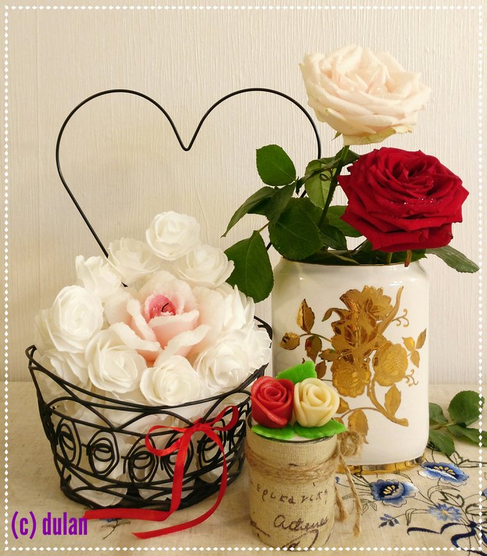 [Image: IMG-20230828-184219.jpg]