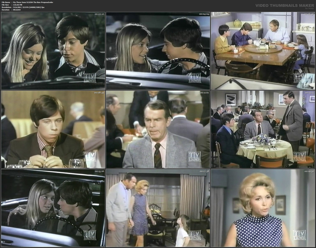 My Three Sons S11E04 The Non-Proposal.mkv