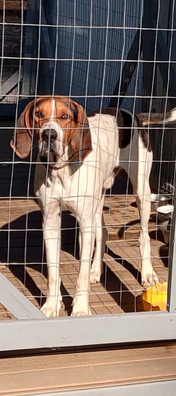 IMG_20210706_180622_2 (1)