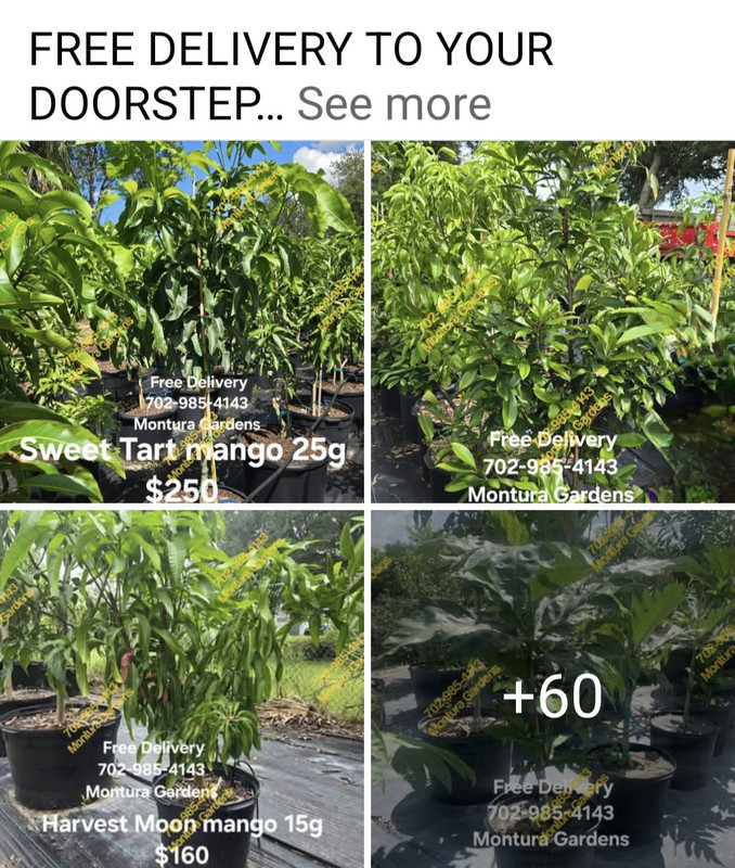 Screenshot_20250923_150915_Facebook