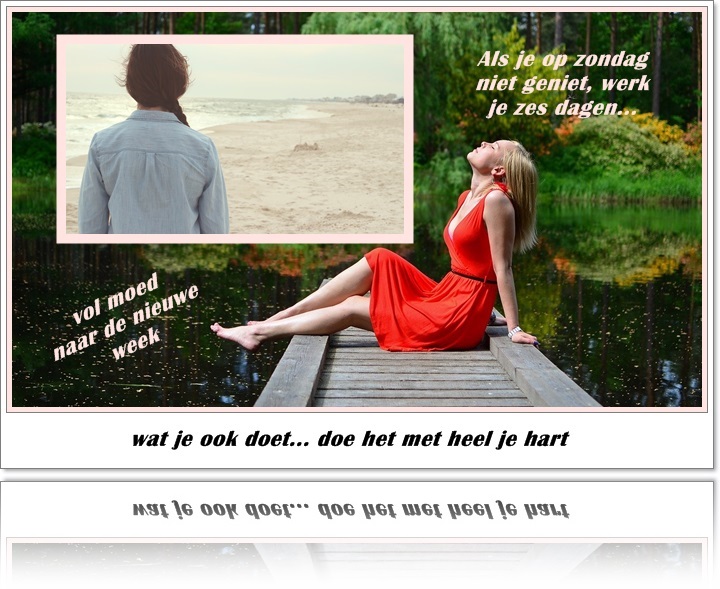 welkom opblog Bunic Jos
