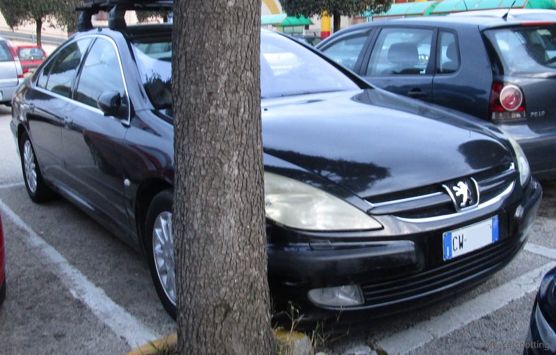IMG-3784.jpg