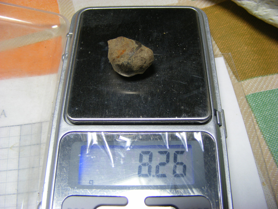 DSCF1595