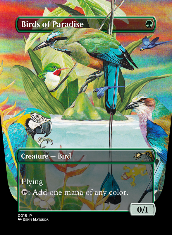 0018 Birds of Paradise