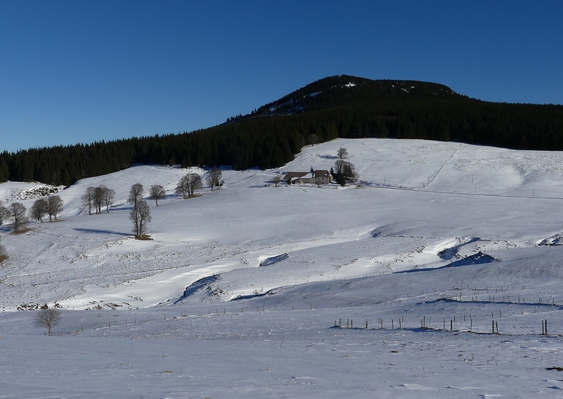 P1080359.jpg