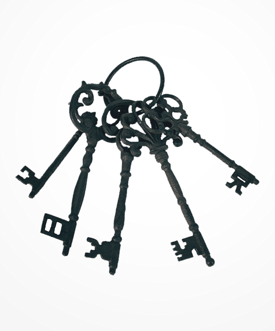 PeacockDreams_MM_Element (132)