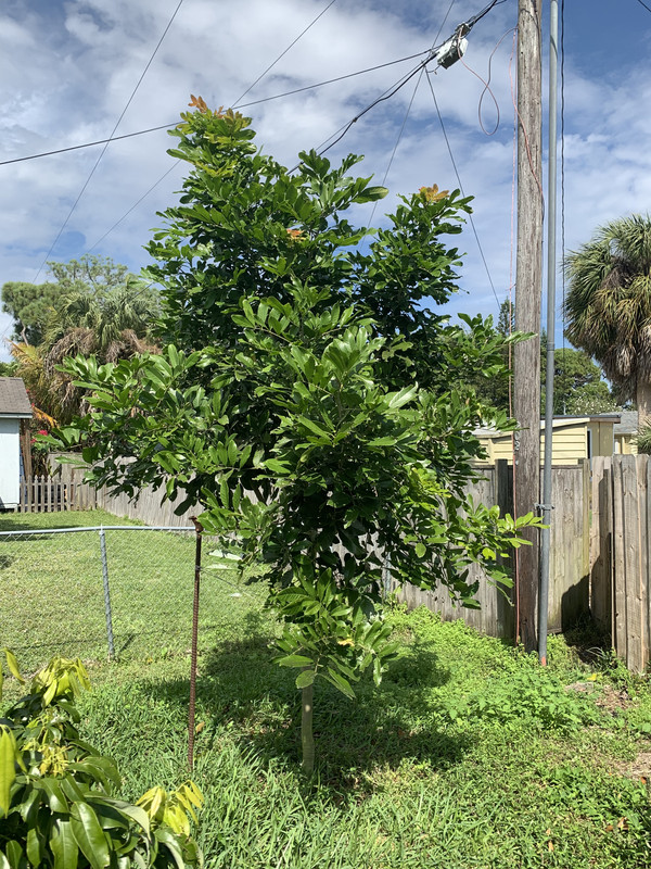 23D7CF45-6CAB-4D83-A56A-46AACD09DC3C