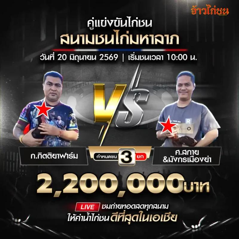 เพชรทรายทอง พบ มังกรเมืองย่า&ศ.สกาย โปรแกรมไก่ชน สนามชนไก่มหาลาภ 20 มิถุนายน