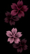 purple 25