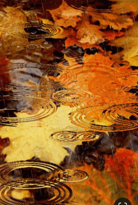 Screenshot_20231220_104740_Pinterest