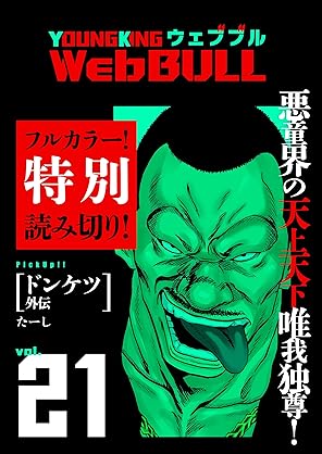 [Magazine][雑誌] Web BULL21号