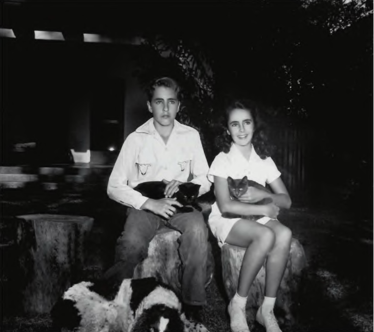 Liz-Taylor-WBrother-Howard-Cats