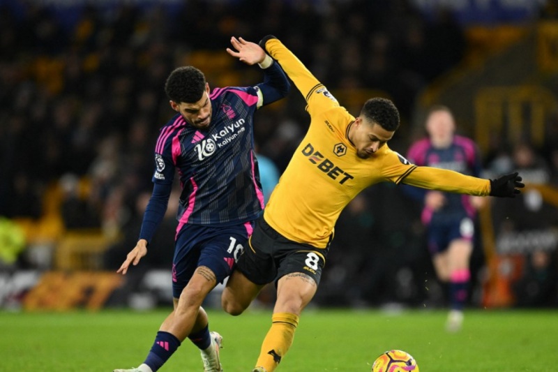 Dự đoán bóng đá, phân tích kèo Wolves vs Nottingham, 02h30 ngày 04/12