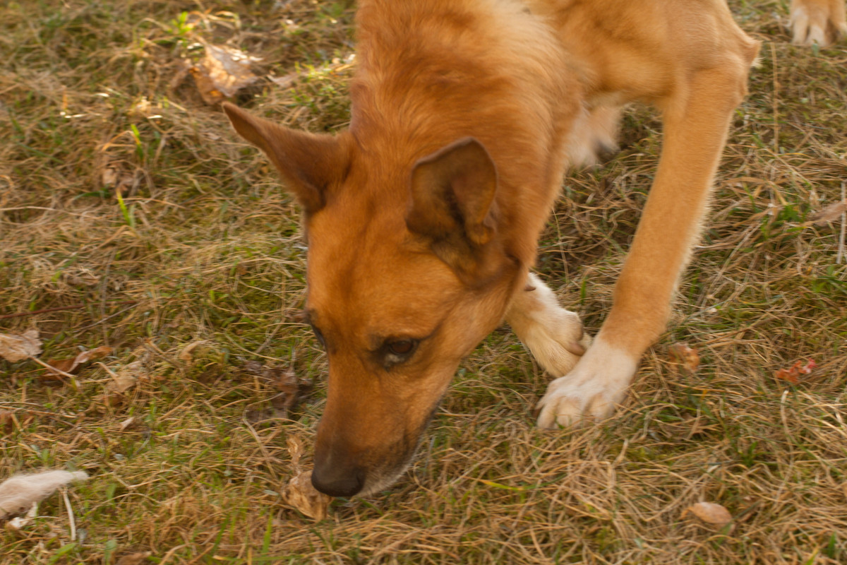 без имени-5304