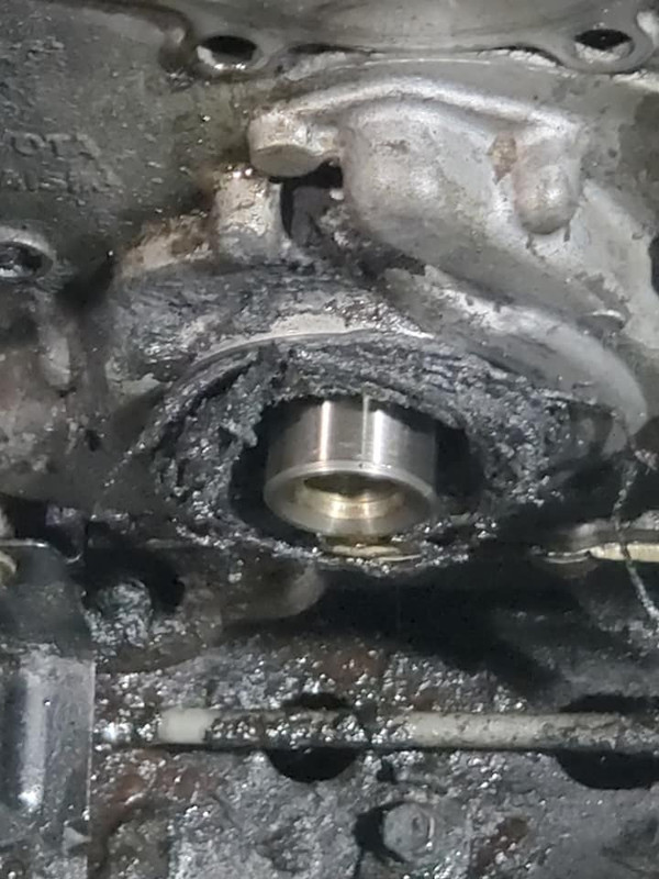 242592331_5053571204659931_224992882647264090_n