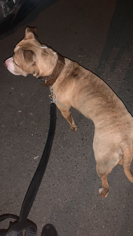 07C8DDFD-3F82-49C4-9A49-3A830662CACD