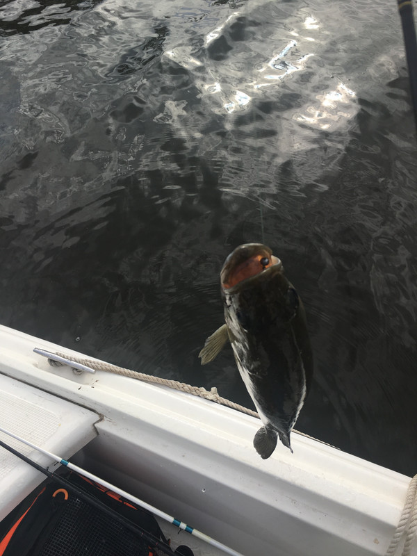 E6D3EC05-61A8-49FD-AEC9-550DA3360306