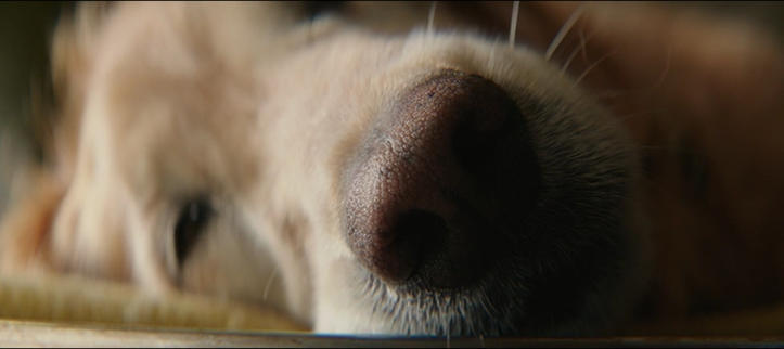 vlcsnap-2017-05-23-15h54m21s239