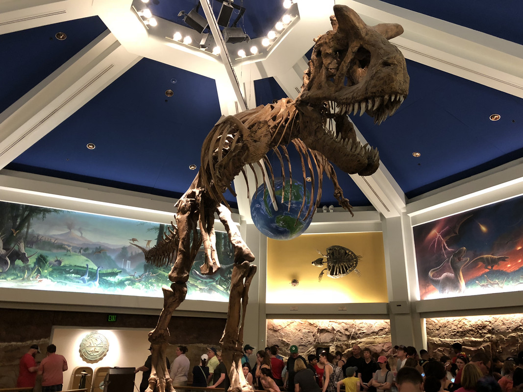 217ADE86-BA1A-4F3E-B8A7-10521DFF6835