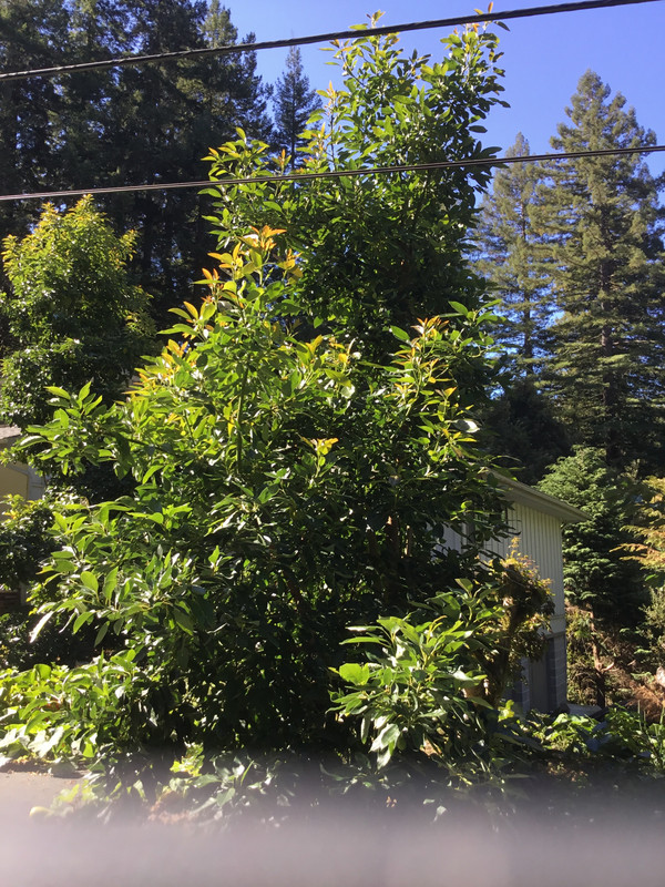 B79E18CF-8C78-4BC2-92B2-2E0C15500261