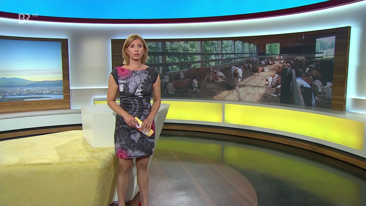 Andrea Otto @ "Abendschau - Der Süden" am 06.08.2019 - Bilder - Papa