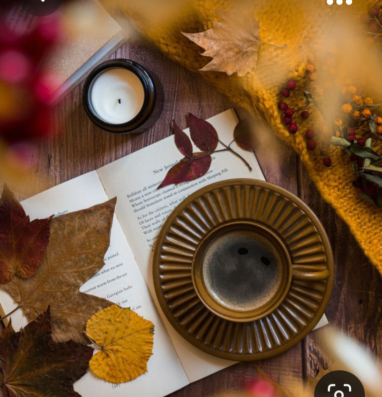 Screenshot_20231031_171644_Pinterest