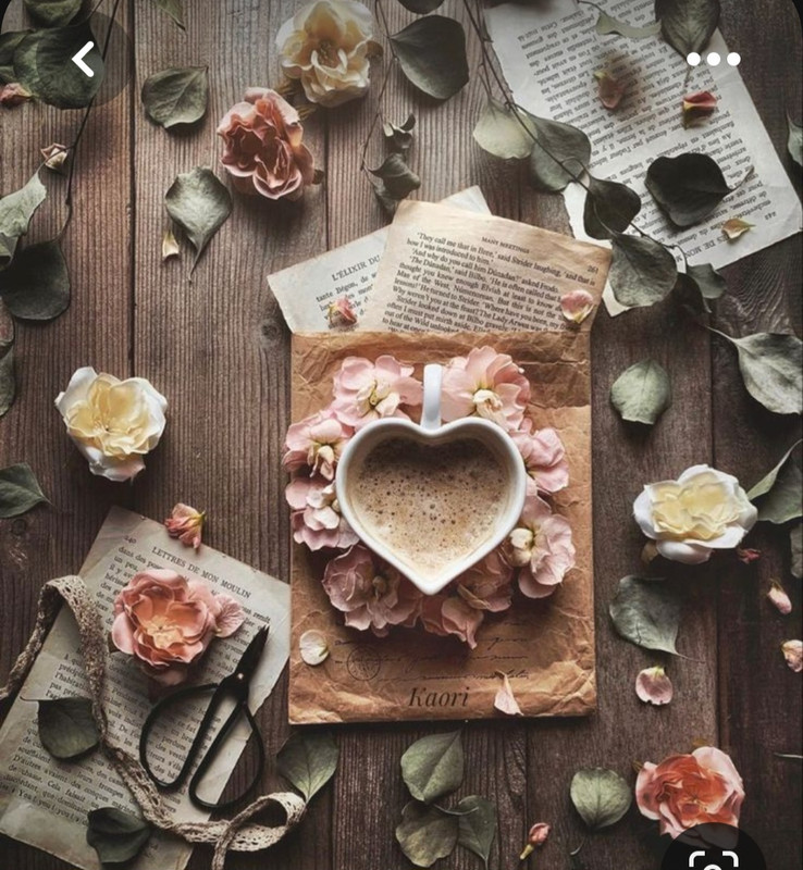 Screenshot_20230528_213524_Pinterest