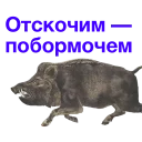 https://i.postimg.cc/C1nqtq8V/Kabanch-071.png