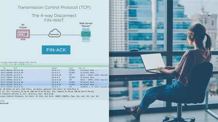 TCP and UDP Operation