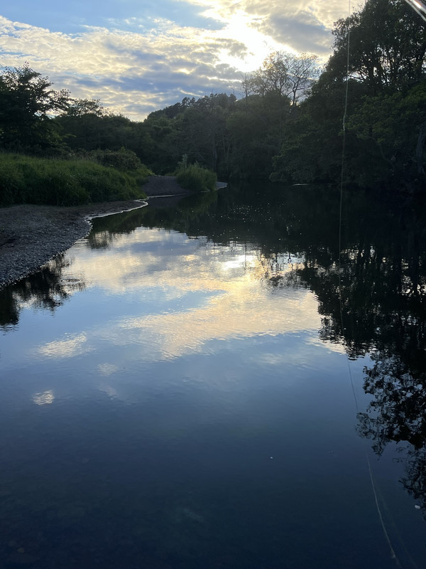 C5EF8C8D-440A-41DF-8588-00CD1BD2836F