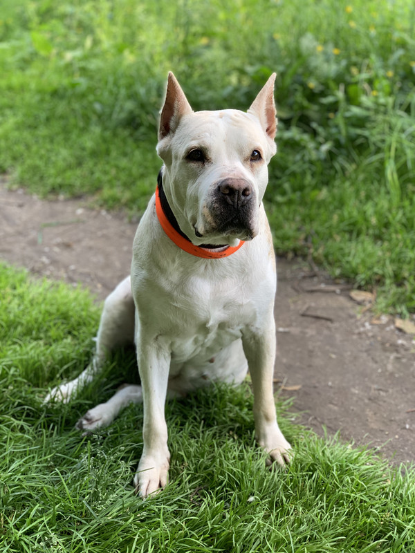 A60FCF40-F967-4BEE-A613-AC297D0F9085