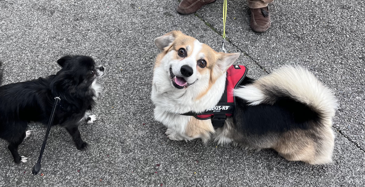 [Image: IMG-8016.jpg]