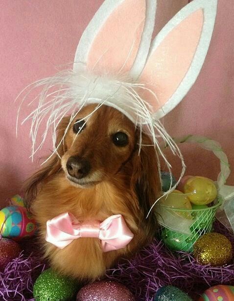 [Image: 38cb5d5f58704662f79c7295051bf44c.jpg]