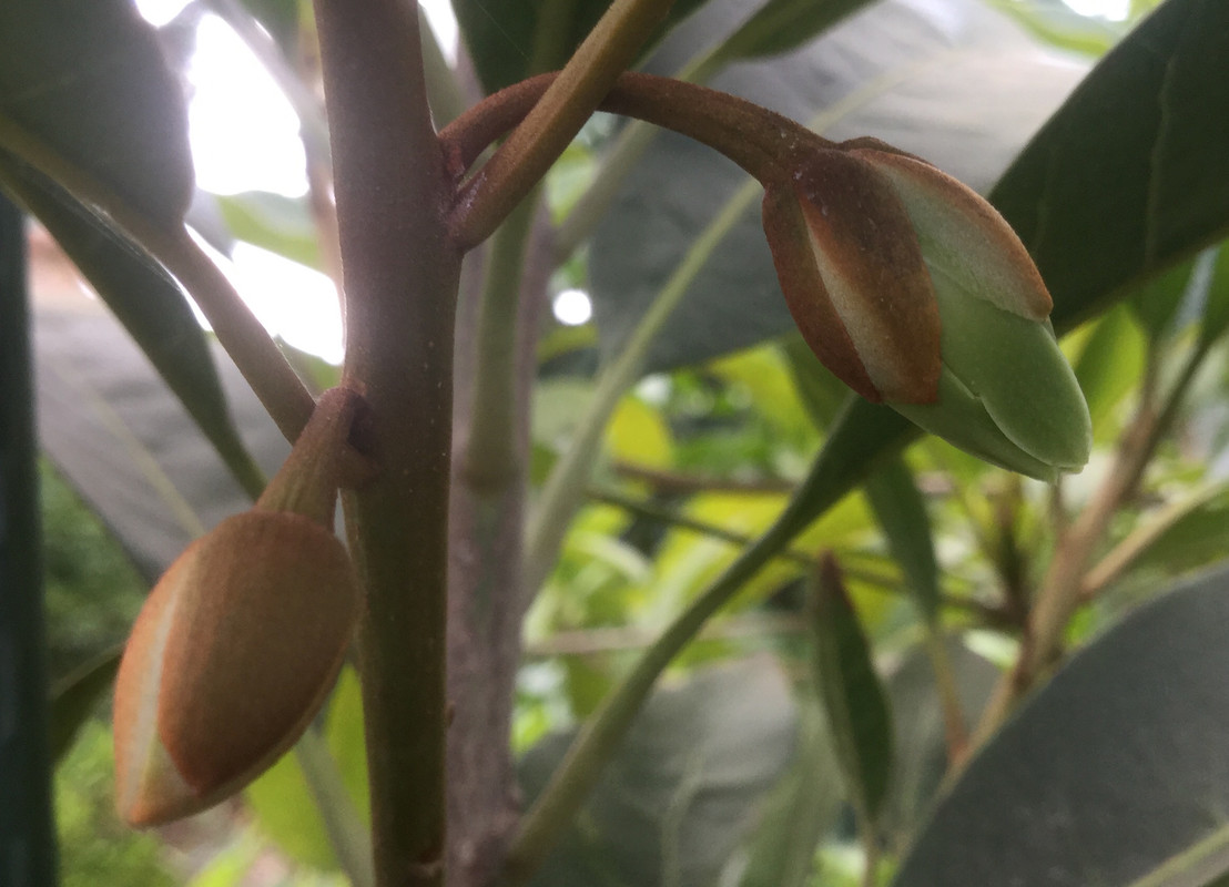 EE155B78-756A-43B0-8C9E-FC03840CBE47