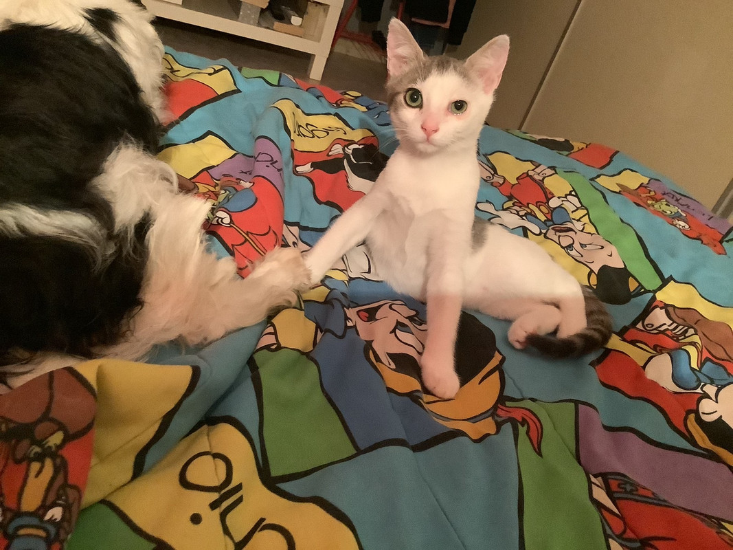 11065567-2B9F-43AF-95CB-15DEC2F4C0F1