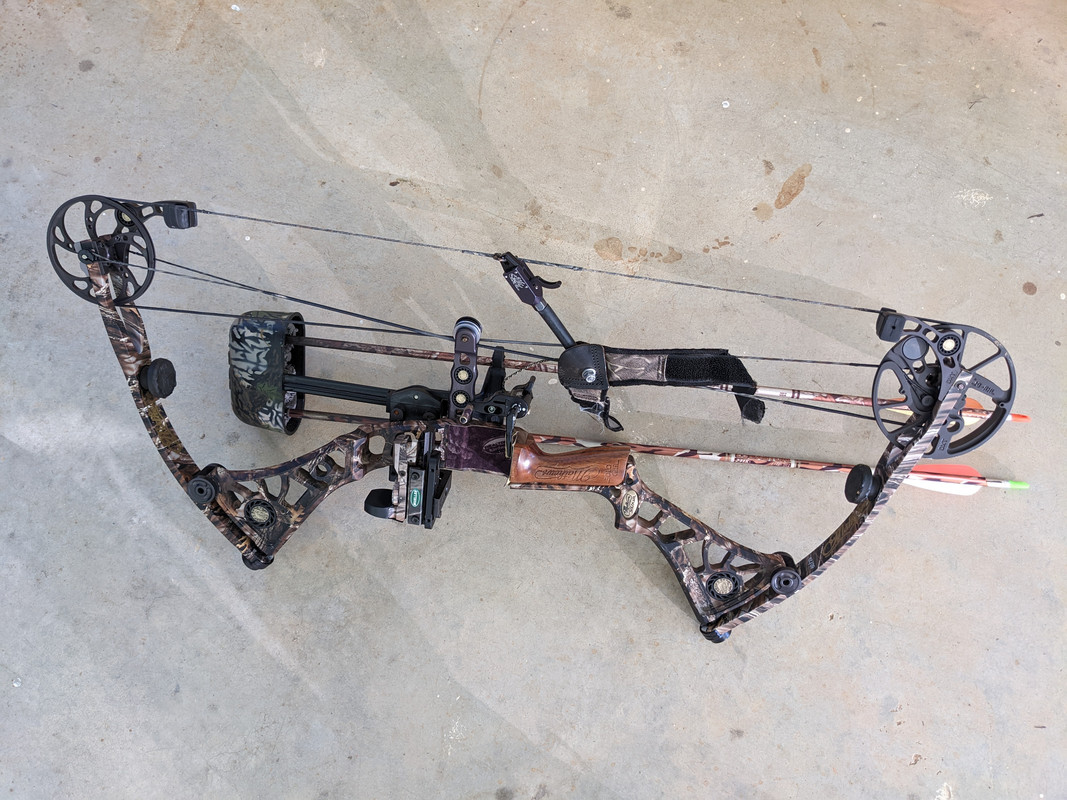 Is my bow worth anything? - ALDEER.COM