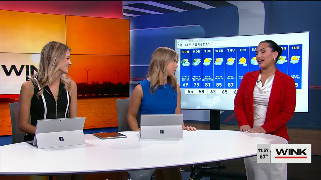 03.19 - 15.30.00 - WINK NEWS at 11 30am  ᴺᵉʷ. Midday news..ts_snapshot_33.25.521
