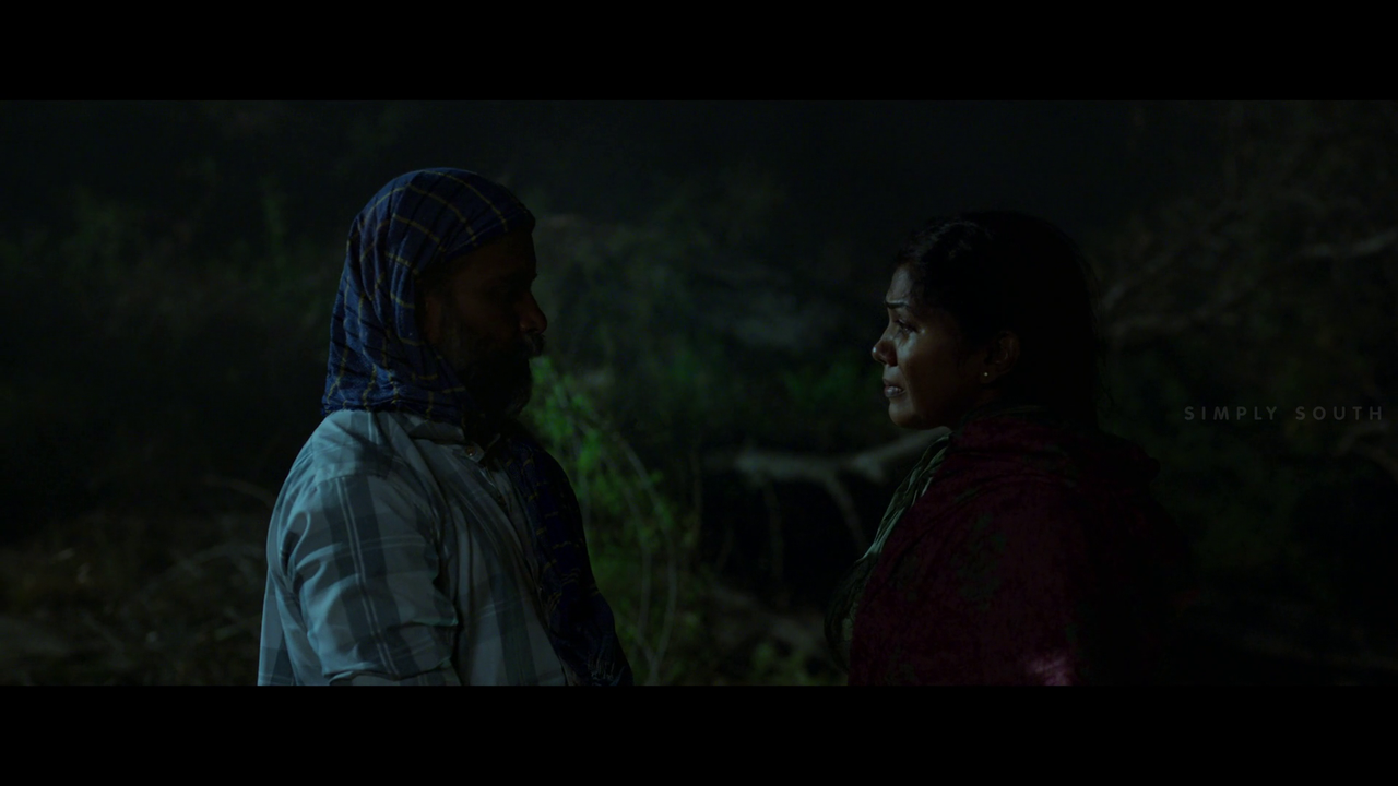 vlcsnap 2025 11 02 13h43m19s601