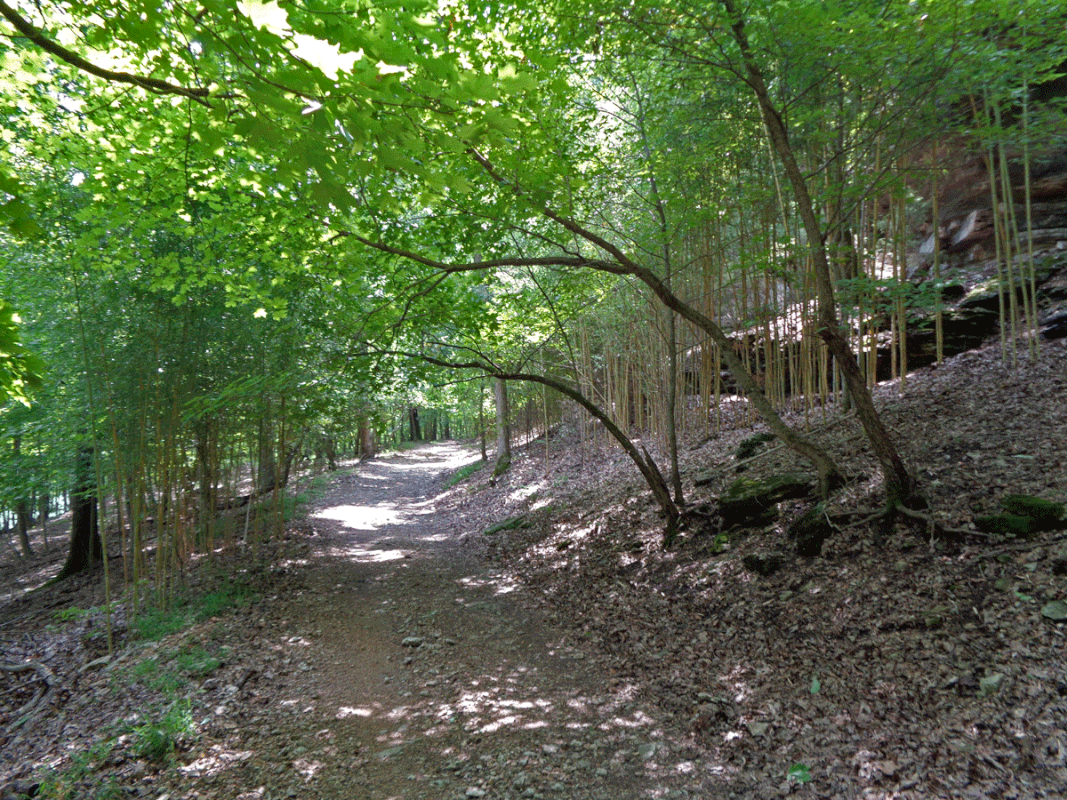DSC00609
