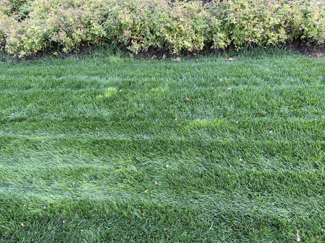 704C5523-2A62-422F-AD7C-004D6F2FC6A3